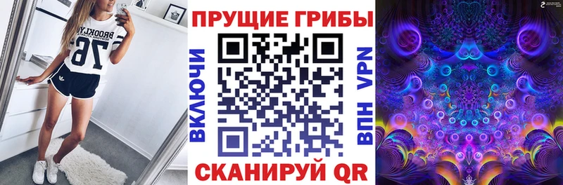 blacksprut ТОР  Тутаев  Псилоцибиновые грибы Cubensis 